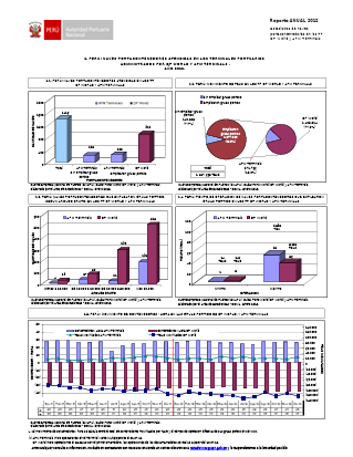 Estadísticas de naves atendidas con grúas pórtico – 2012